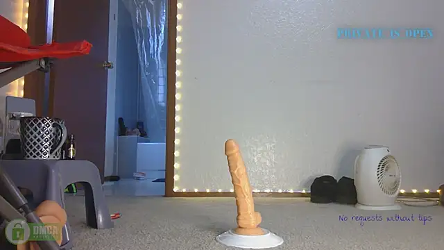 Snapshot of SlammyDjr chatting on 03/14/25, 08:28 SlammyDjr online show from 03/14/25, 08:28