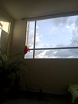 Snapshot of Dangerouspassion777 chatting on 09/30/25, 10:04 Dangerouspassion777 online show from 09/30/25, 10:04