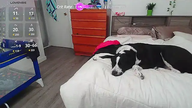 Kittyymaze1 online show from 03/02/25, 02:32