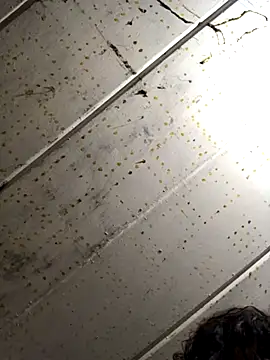 Snapshot of macg96 chatting on 12/04/24, 07:17 macg96 online show from 12/04/24, 07:17