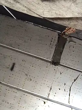 Snapshot of macg96 chatting on 12/17/24, 08:34 macg96 online show from 12/17/24, 08:34