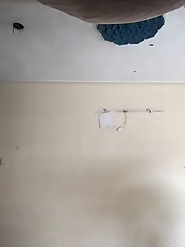 heartless  95 online show from 10/20/25, 03:29