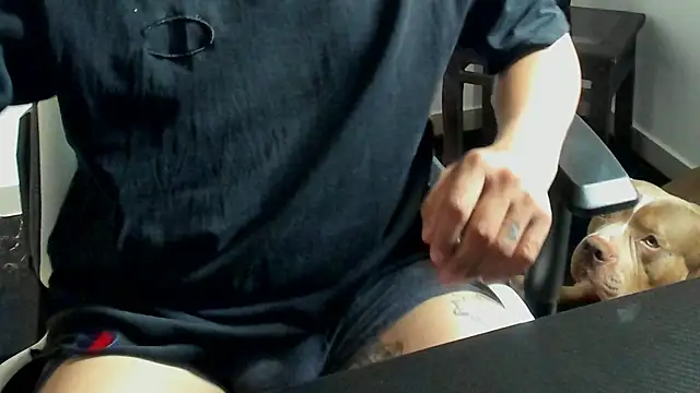 Snapshot of stebankechima chatting on 10/15/25, 12:38 stebankechima online show from 10/15/25, 12:38