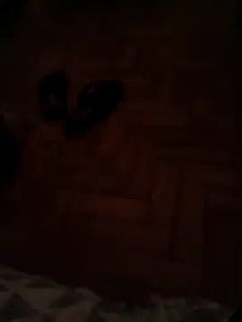 lobomisterioso13 online show from 12/11/24, 01:26