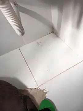 lobomisterioso13 online show from 03/14/25, 12:07