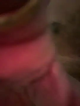 Snapshot of A-mira chatting on 03/02/26, 08:15 A-mira online show from 03/02/26, 08:15