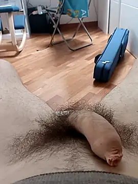 the lion 69 online show from 02/11/26, 09:14