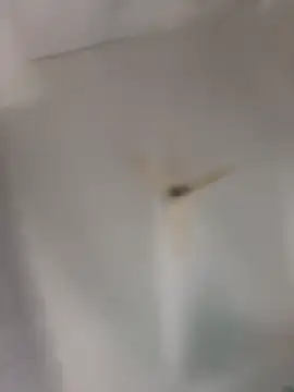 Snapshot of playboy_30 chatting on 11/16/25, 09:04 playboy 30 online show from 11/16/25, 09:04