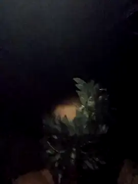 Buffshagswell online show from 09/15/25, 05:29