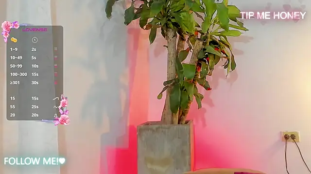 juanmiss online show from 02/05/25, 09:46