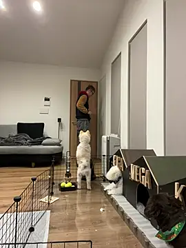 kensnb online show from 01/08/25, 08:39