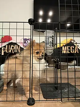 kensnb online show from 03/09/26, 09:08