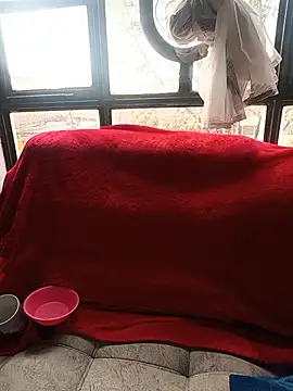 Tefannyy  online show from 06/17/26, 02:07