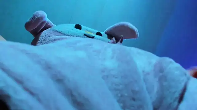 Snapshot of Lily_stone04 chatting on 12/16/25, 08:08 Lily stone04 online show from 12/16/25, 08:08