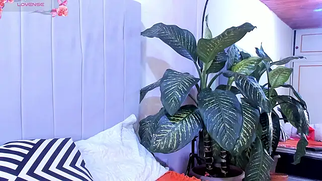 Mindy sweety online show from 03/06/25, 07:54