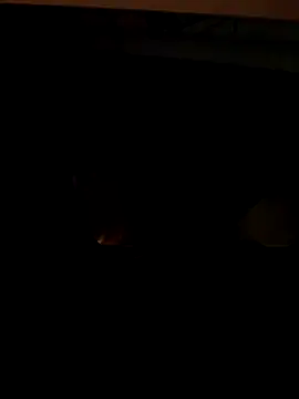 Snapshot of coppiapazza chatting on 12/18/25, 11:22 coppiapazza online show from 12/18/25, 11:22