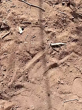 Snapshot of paugrande453 chatting on 09/24/25, 10:51 paugrande453 online show from 09/24/25, 10:51