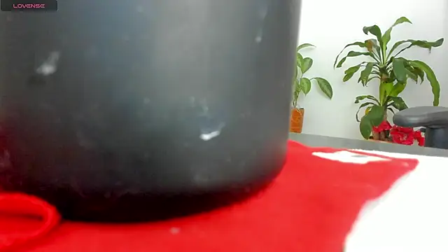 Michel Jones online show from 03/08/25, 12:11