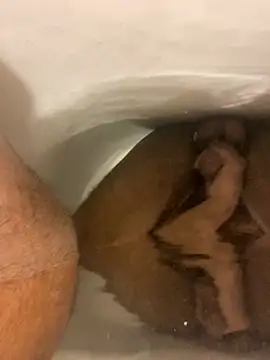 SensualG300 online show from 01/17/26, 03:00