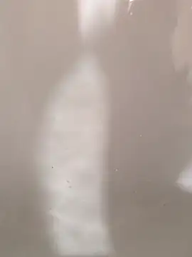 SensualG300 online show from 02/12/26, 10:38