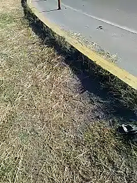 Alysson-- online show from 01/20/25, 01:00