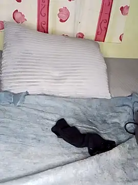 Anal Fisting9 online show from 12/01/24, 11:36