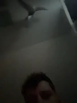 janberlin online show from 02/25/26, 08:02