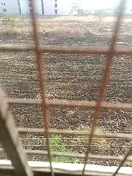 Snapshot of 1010SumiT chatting on 01/27/25, 03:58 1010SumiT online show from 01/27/25, 03:58