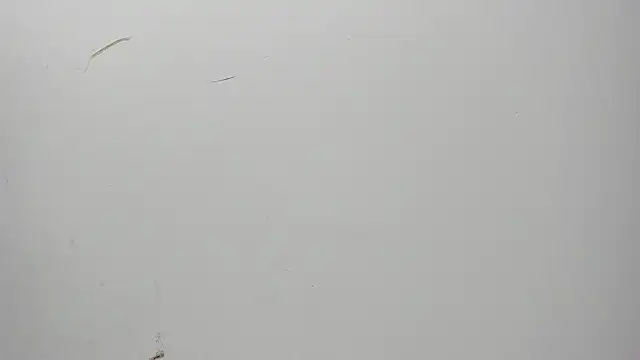 Karljensen33 online show from 12/27/24, 05:42