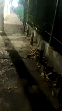 Snapshot of spacegirlll chatting on 03/14/25, 08:10 spacegirlll online show from 03/14/25, 08:10