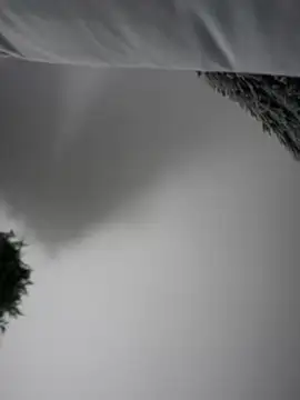 Aryrosee online show from 01/03/25, 03:49