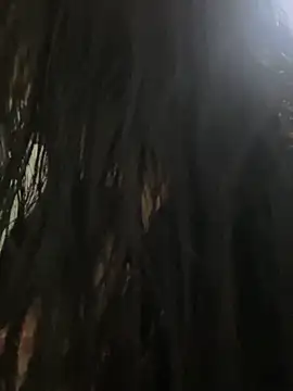 eva sexx69 online show from 03/13/26, 12:12