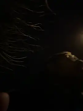 Snapshot of tipico0799 chatting on 03/01/25, 01:43 tipico0799 online show from 03/01/25, 01:43