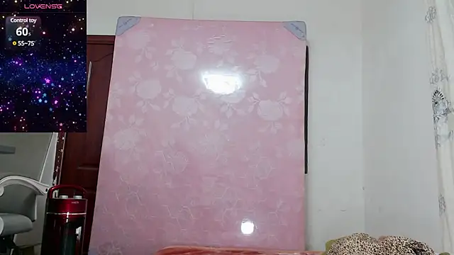 baoer-558 online show from 12/18/24, 06:46