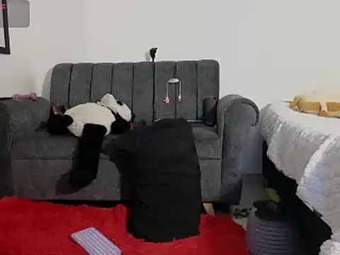 Katt BDSM online show from 02/13/25, 03:14