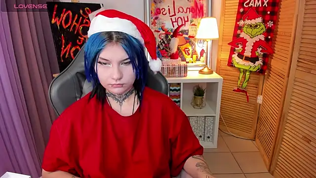 Snapshot of mekurisu chatting on 12/30/24, 01:37 mekurisu online show from 12/30/24, 01:37