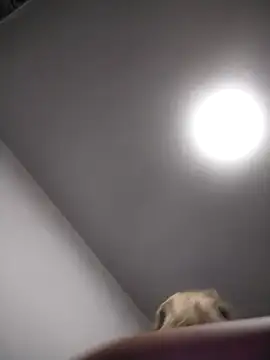 Snapshot of AudreySosa chatting on 03/13/25, 08:04 AudreySosa online show from 03/13/25, 08:04