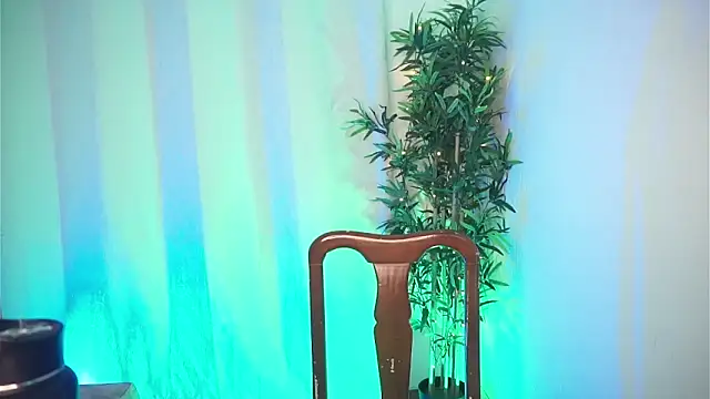 Snapshot of dam0n_fr0st chatting on 02/04/26, 08:47 dam0n fr0st online show from 02/04/26, 08:47