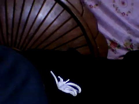 Snapshot of penesillo79 chatting on 11/21/25, 03:05 penesillo79 online show from 11/21/25, 03:05