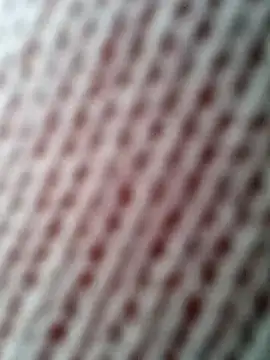 Gardener of Illusions online show from 10/31/25, 10:27