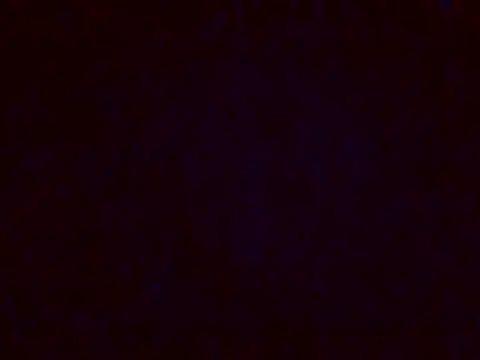 jellydicks online show from 12/17/24, 05:26