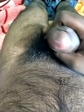 jellydicks online show from 11/09/25, 11:52