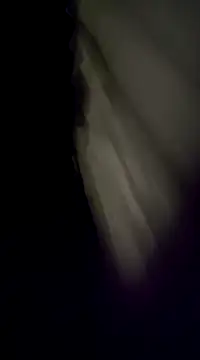 BurroParao online show from 12/05/24, 02:20