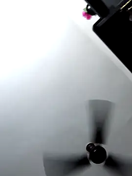 Tamilrojanew online show from 03/12/26, 09:48