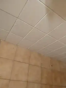 moder066 online show from 12/11/24, 07:46