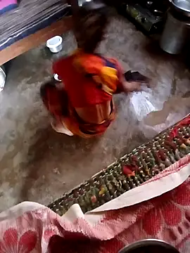 poojaji2024 online show from 12/04/24, 04:54