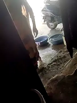 poojaji2024 online show from 03/16/25, 04:41