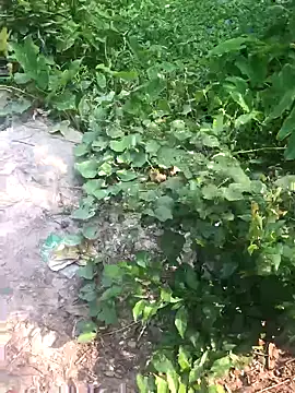 GapingConker online show from 11/09/25, 07:50