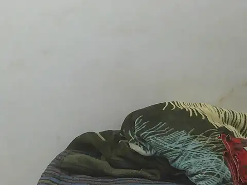 DOLL CUTY online show from 05/14/26, 06:37