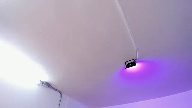 Amy Kiitty  online show from 02/15/26, 12:58